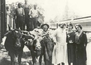 1920-1929 Oxen and People at Chesapeake Beach Railway Station