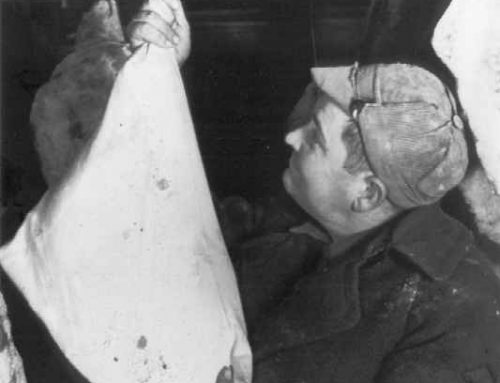 1940-1949 Hanging up salted pork in muslin bag